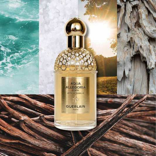 Aqua Allegoria Forte Bosca Vanilla | Guerlain