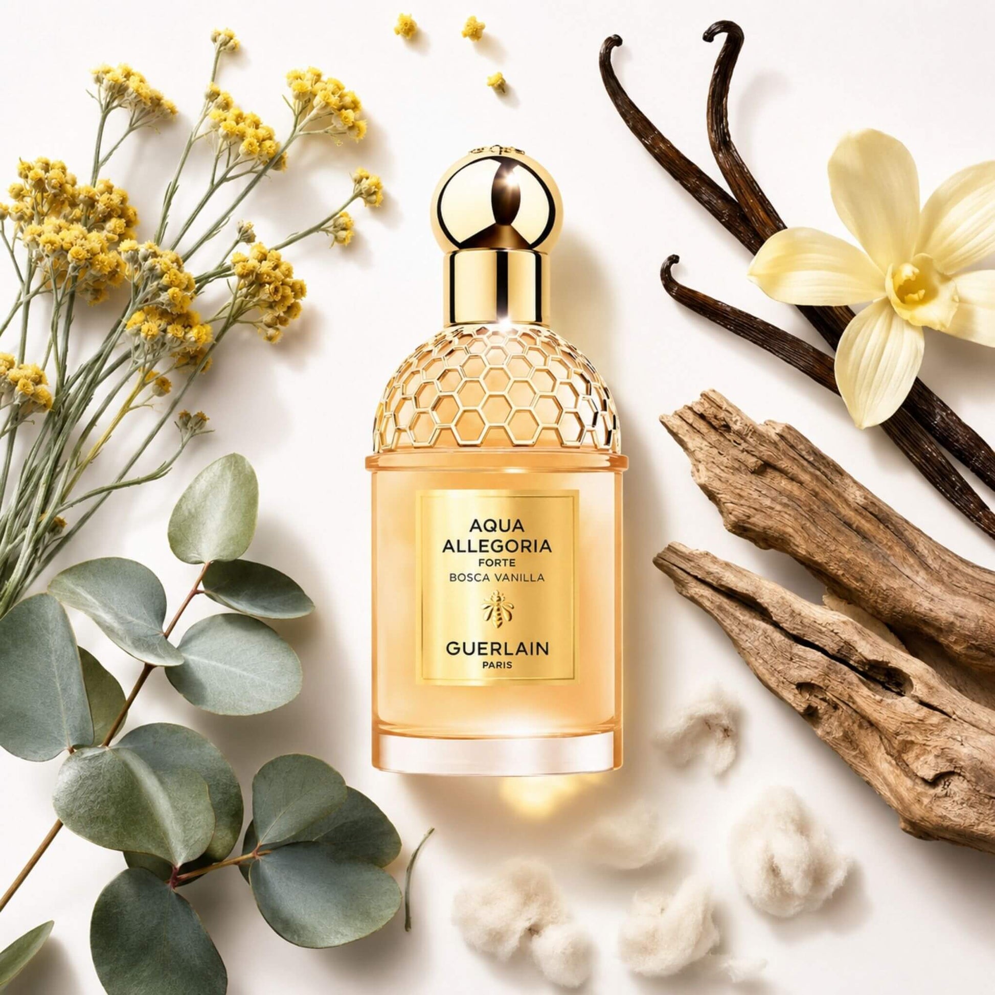 Bottle of Guerlain Bosca Vanilla Forte for decanting into perfume samples