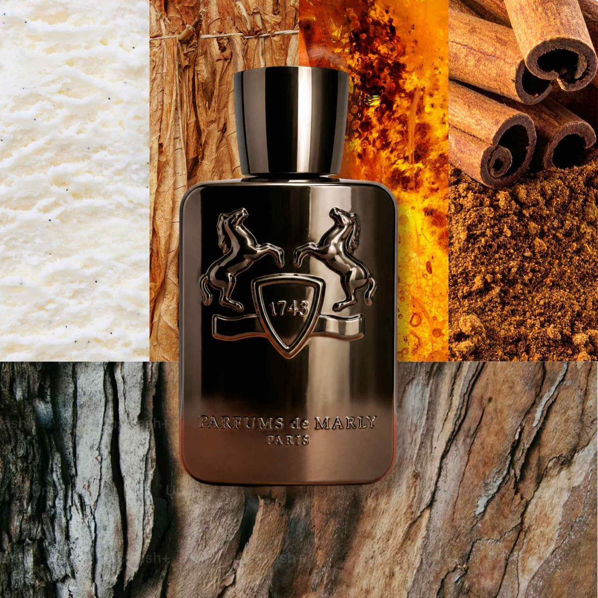 Herod men's cologne bottle on top of spicy amber, tobacco, and cedar wood