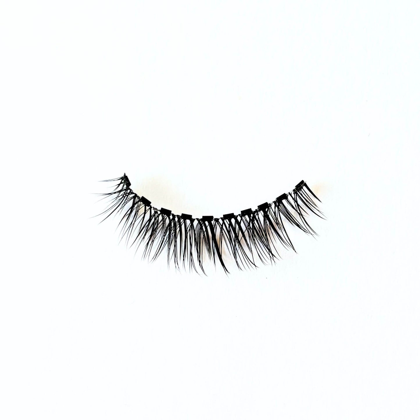 Close up of magnetic lash band on Whisper false lashes