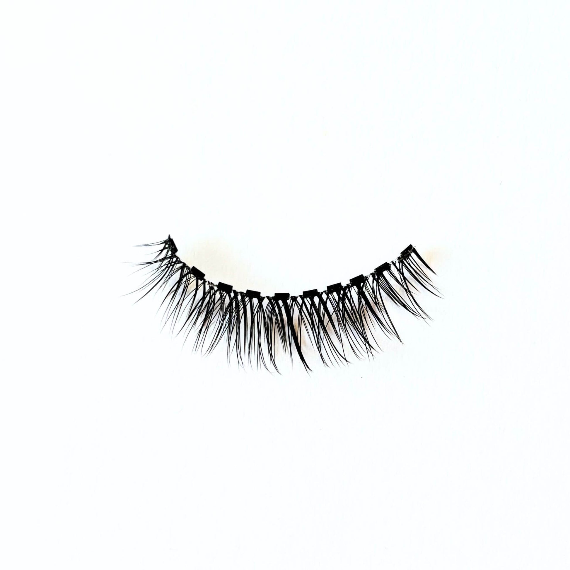 Close up of magnetic lash band on Whisper false lashes